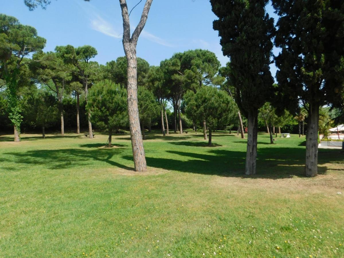 Appartamento Lato soleggiato @Gardazzurro Padenghe sul Garda Esterno foto